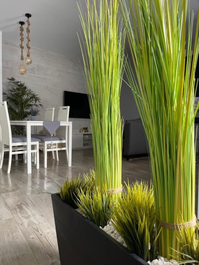 apartamento banferra Jerez de la Frontera Exterior foto